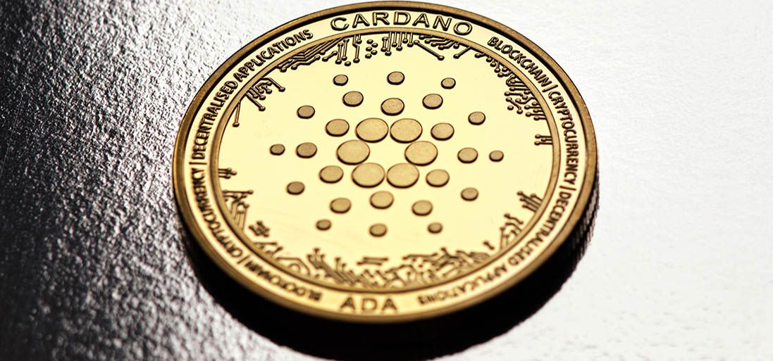 Cardano временно удвоила вознаграждение за баги для повышения безопасности сети