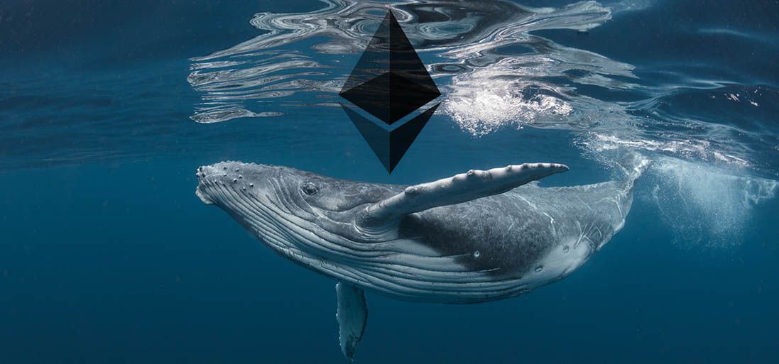 Ethereum-киты закупились APE от BAYC на 6,6 млн долларов