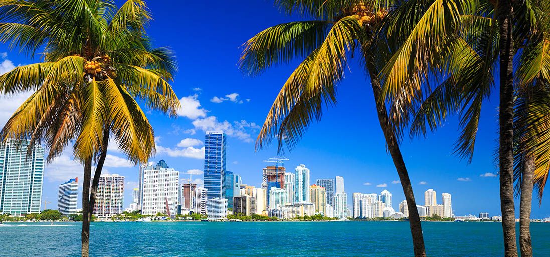 Роскошный многоквартирный дом Иванки Трамп в Майами принимает криптовалюту для строительства квартир