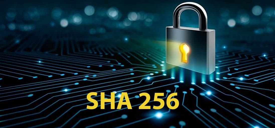 Список криптовалют для майнинга на алгоритме SHA256, включая биткоин (bitcoin) — какие монеты можно выгодно майнить
