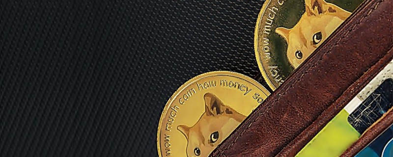 Dogecoin (DOGE) кошелек – официальный сайт. Обзор бумажников для криптовалюты догикоин