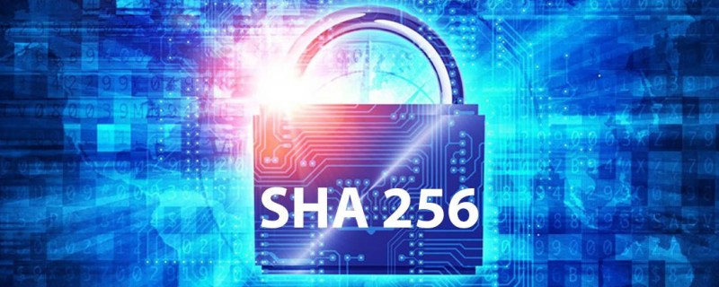 Лучшие пулы для SHA256 — на каком пуле лучше майнить SHA256