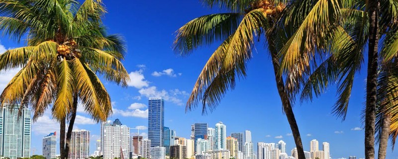 Майами хочет стать финансовой столицей криптовалюты — что говорит Нью-Йорк