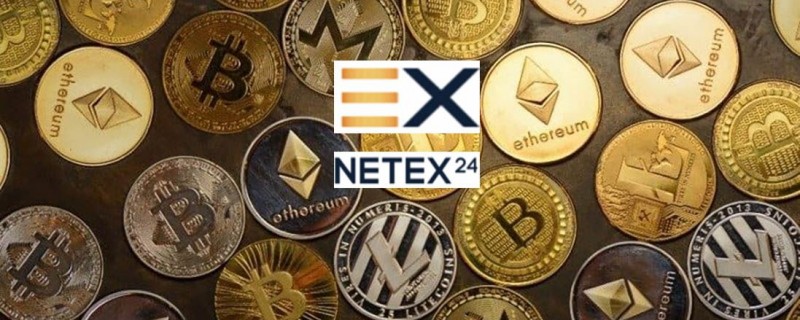 Обменник netex24 — отзывы