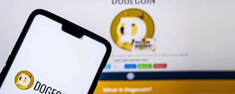 Онлайн-кошелек Dogecoin chain