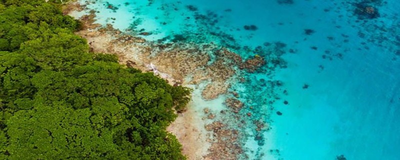 Премьер-министр Вануату сказал «да» проекту острова Сатоши