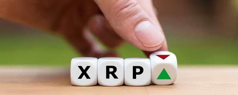 XRP теперь составляет 3% от общей капитализации рынка криптовалют